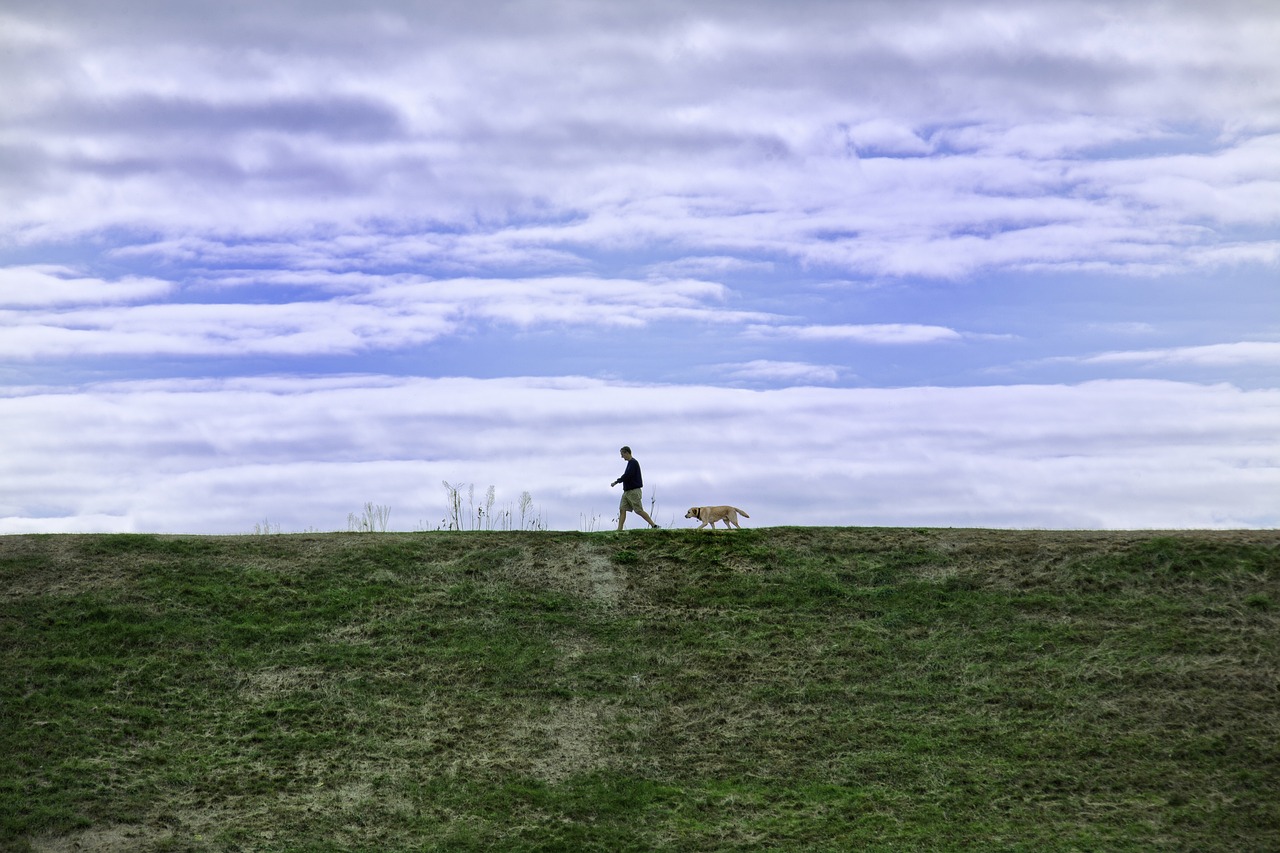 Political Stoicism: A Philosophy for Leaders